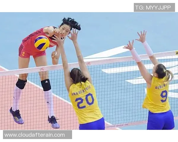 深圳排球队灵活性引发热议球迷与专家观点大碰撞