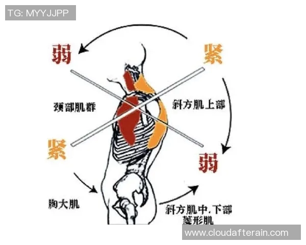 王娜独家揭秘羽毛球技巧与训练心得助你提升球技的秘诀